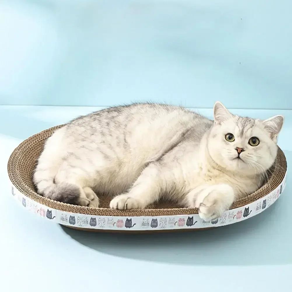 White cat lying on a round cat bed with a light blue background