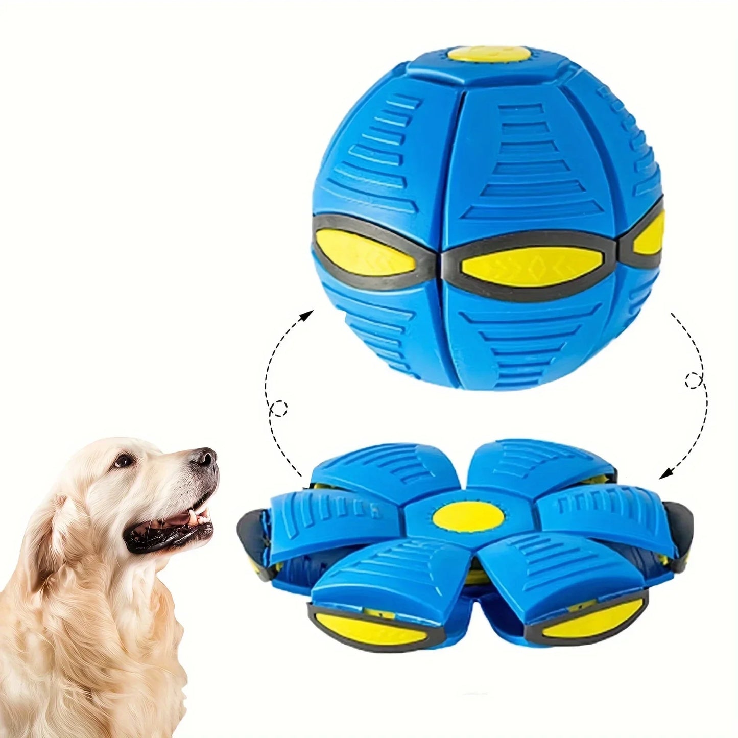 Blue and yellow ball and frisbee with a dog looking at it on a white background