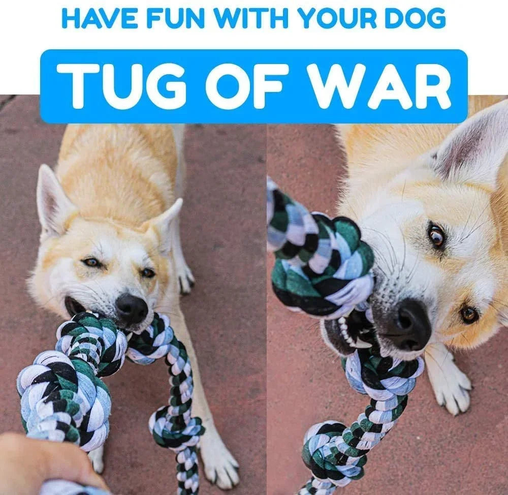 Two dogs playing with a rope toy, with text 'Have fun with your dog Tug of War' above.