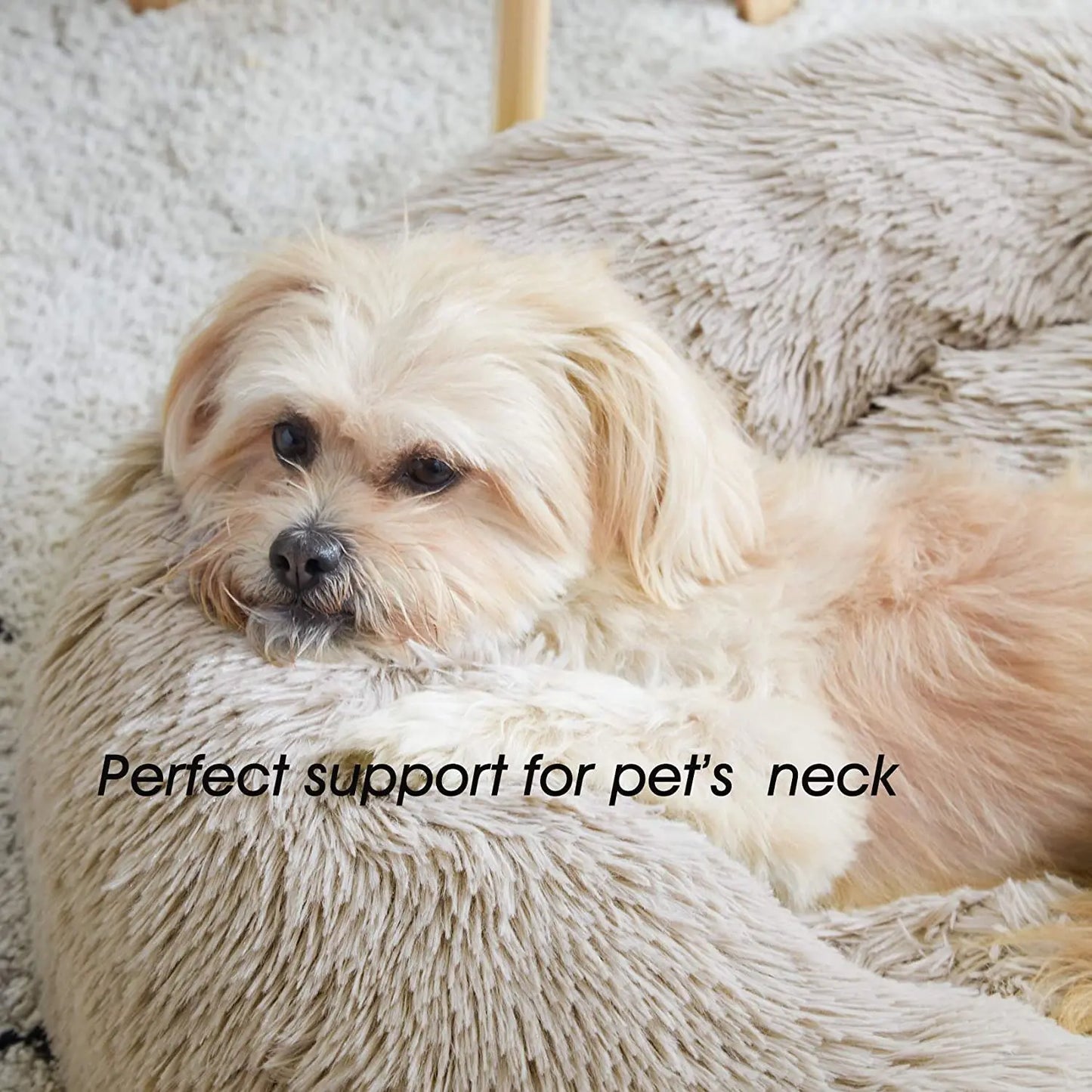 Dog in a beige plush bed