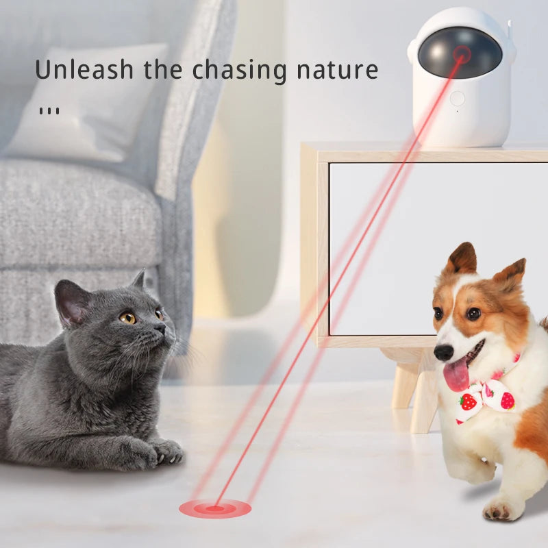 Cat and dog interacting with a laser pointer device on a light-colored floor.