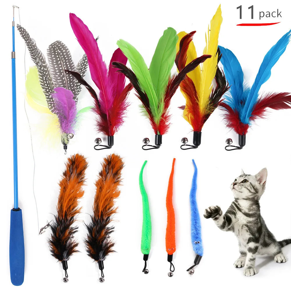 Assorted colorful feather cat toys with a blue handle and a cat on a white background.