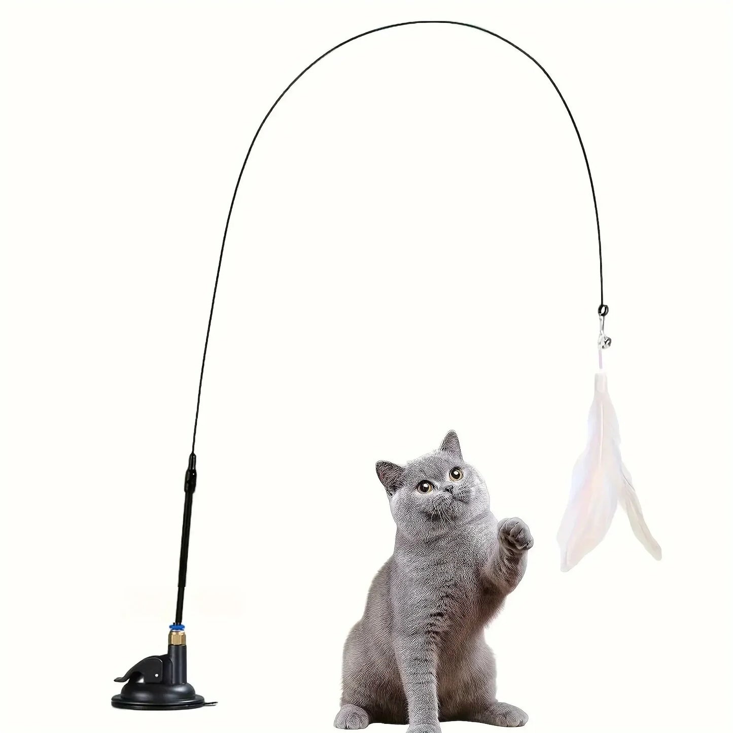 Cat playing with a wand toy on a white background
