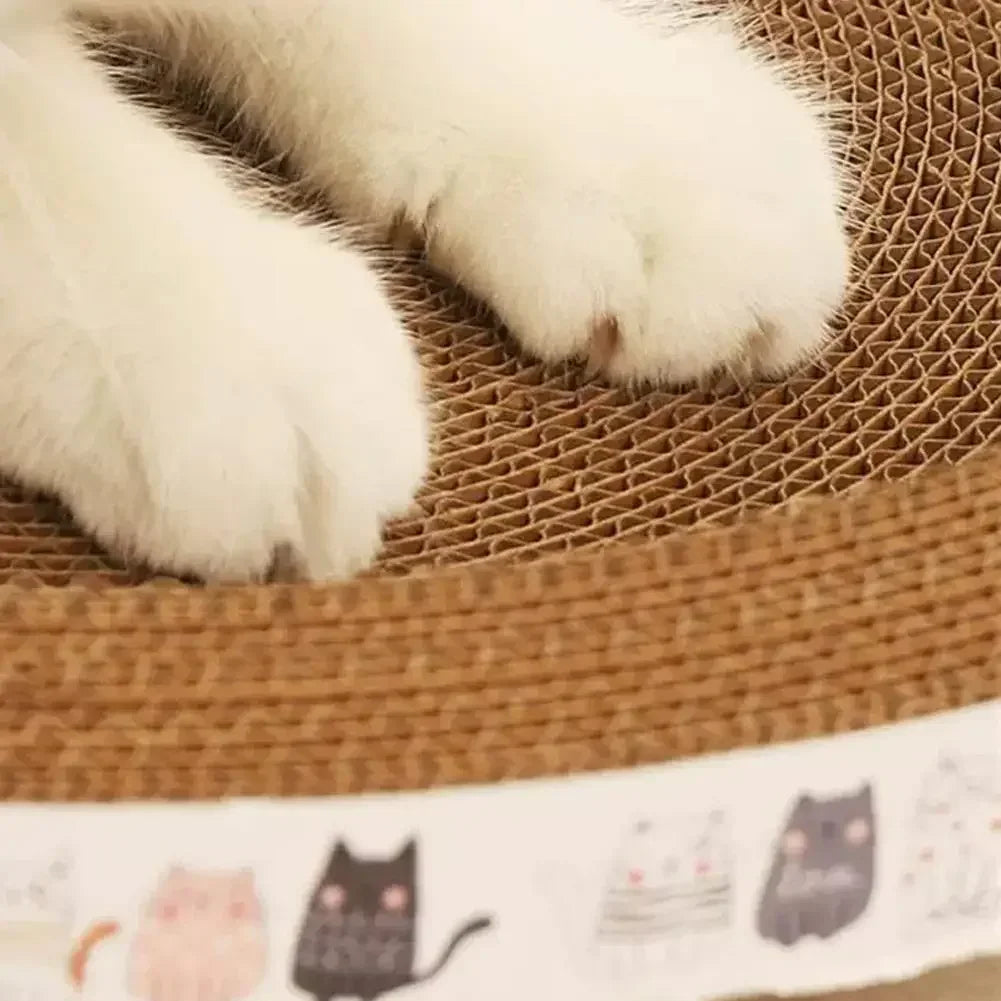 Close-up of a cat's paws on a cardboard box with a blanket featuring cartoon cats in the foreground.