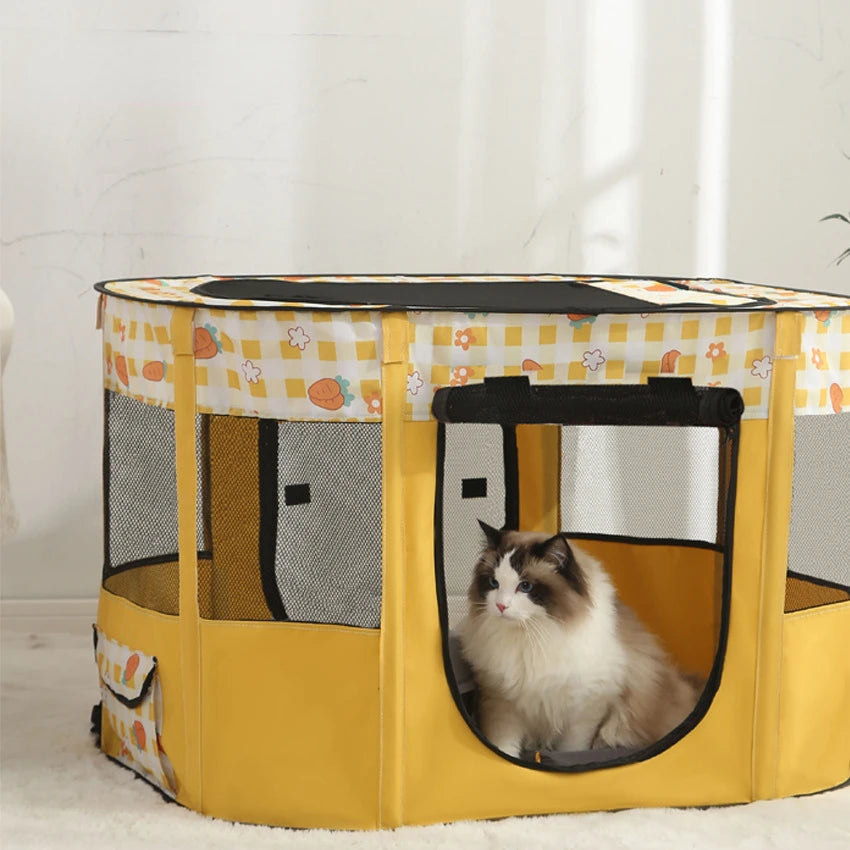 Yellow pet playpen with a cat inside on a light background