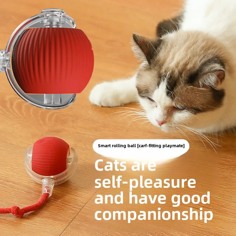 Cat playing with a smart rolling ball toy on a wooden floor