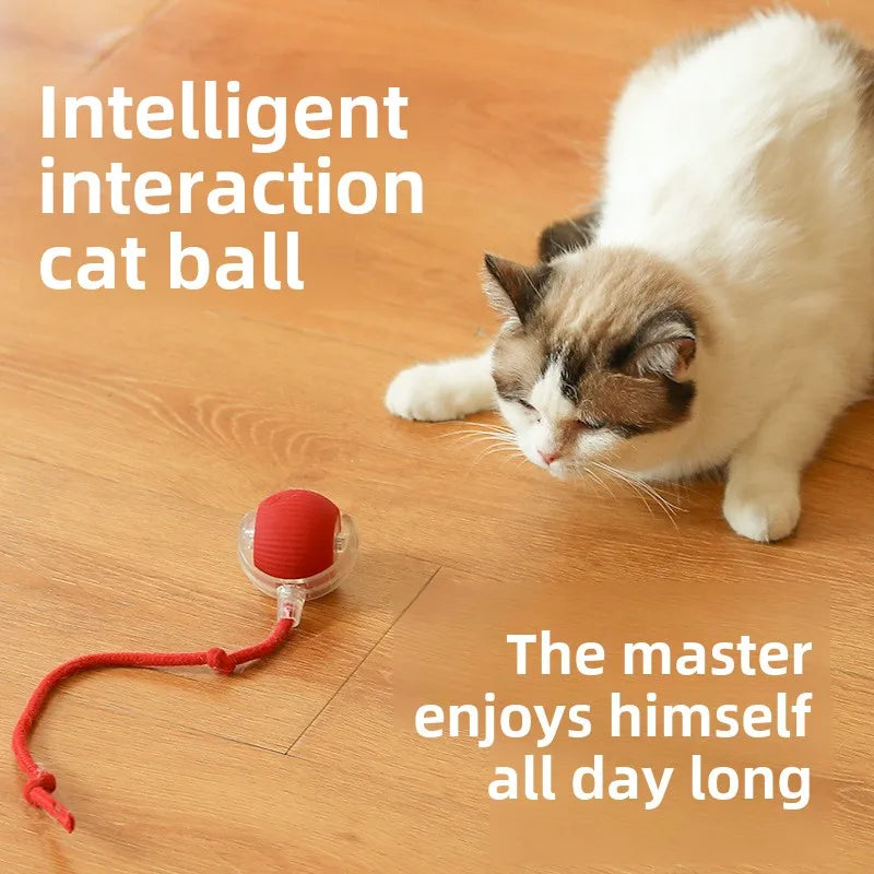 Cat playing with a red ball on a wooden floor, with text about intelligent interaction.