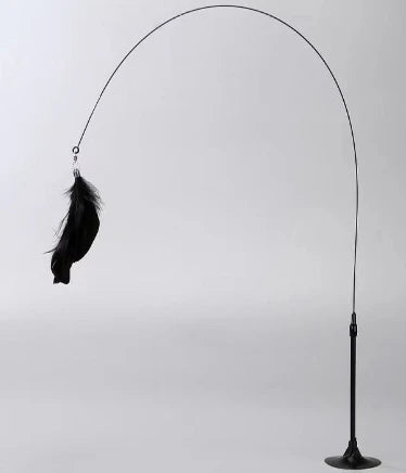 Black cat toy wand with feather on a white background