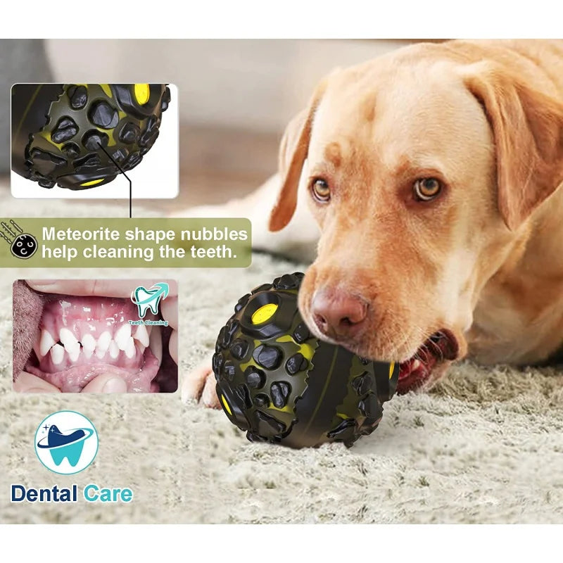 Dog playing with a dental care toy, highlighting its benefits for dental health.