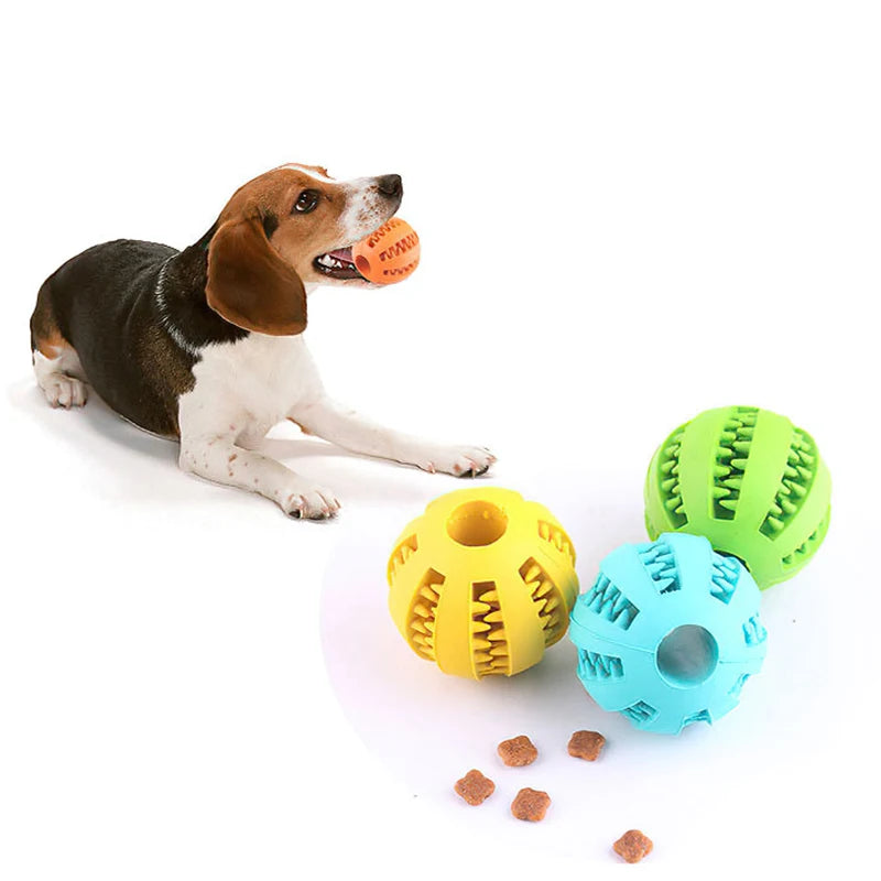 Dog playing with colorful rubber balls that have grooves for food on a white background