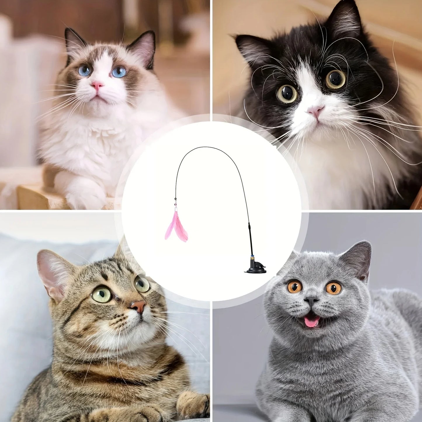 Collage of four cats with a cat toy wand in the center.