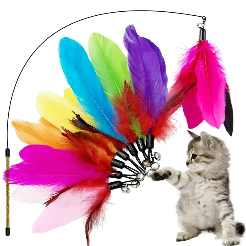 Colorful feathered cat toy with a cat playing with it on a white background