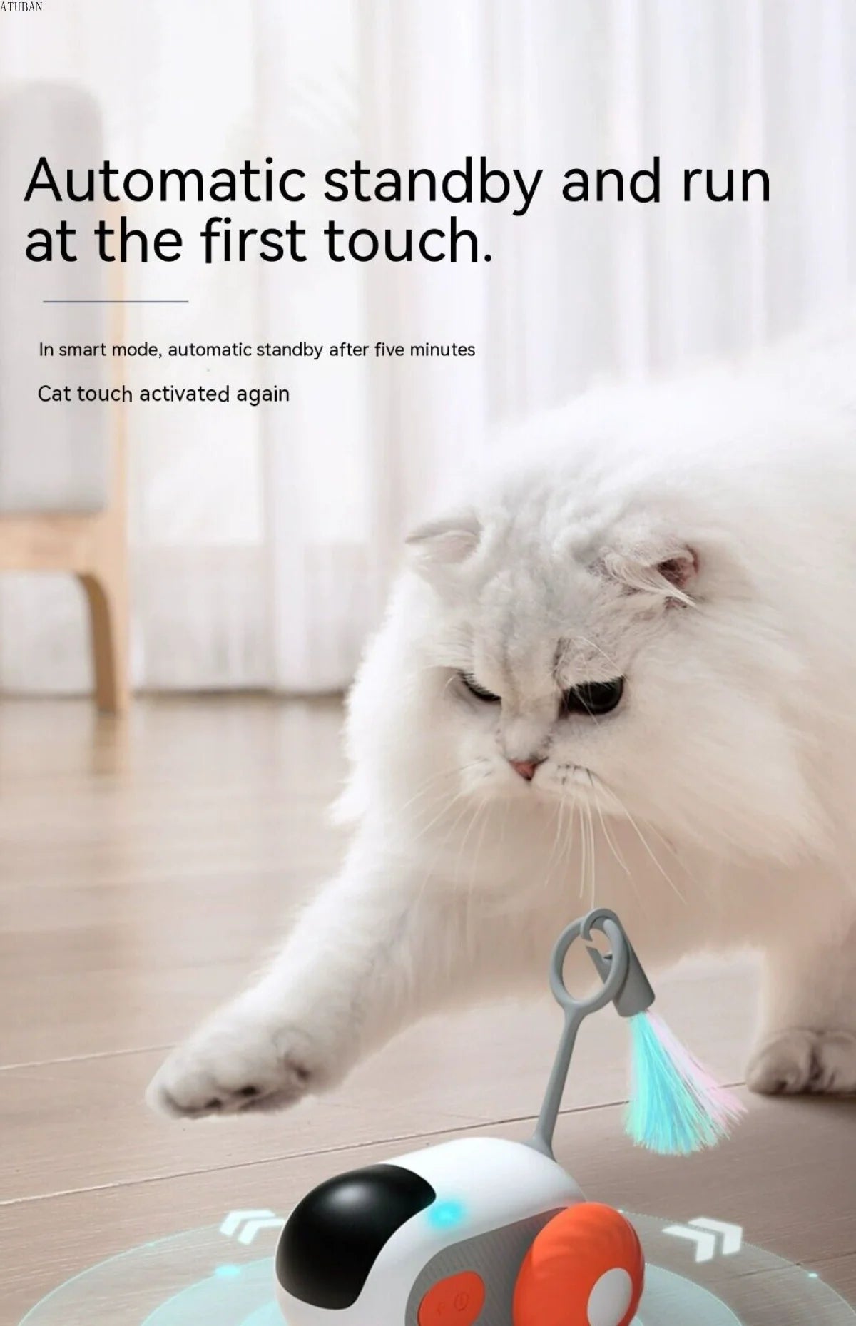 Cat playing with a toy car on a wooden floor with text about automatic standby.