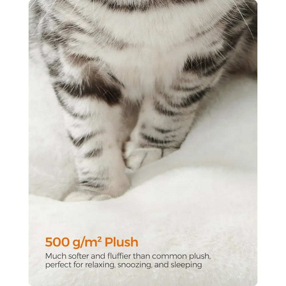 Cat on plush surface with text about plush texture