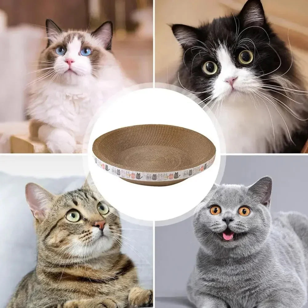 Collage of four cats with a cat scratcher in the center.