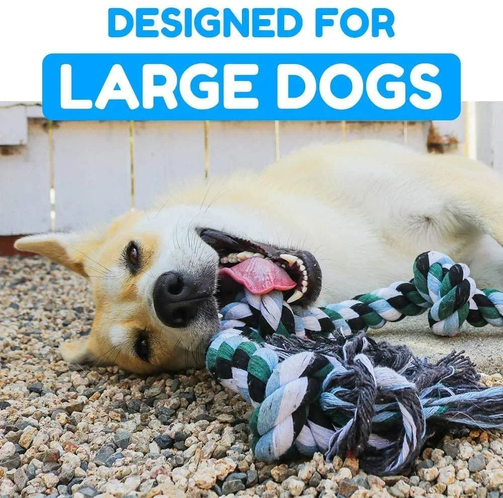 Dog playing with a rope toy on gravel, with text 'Designed for Large Dogs' above.