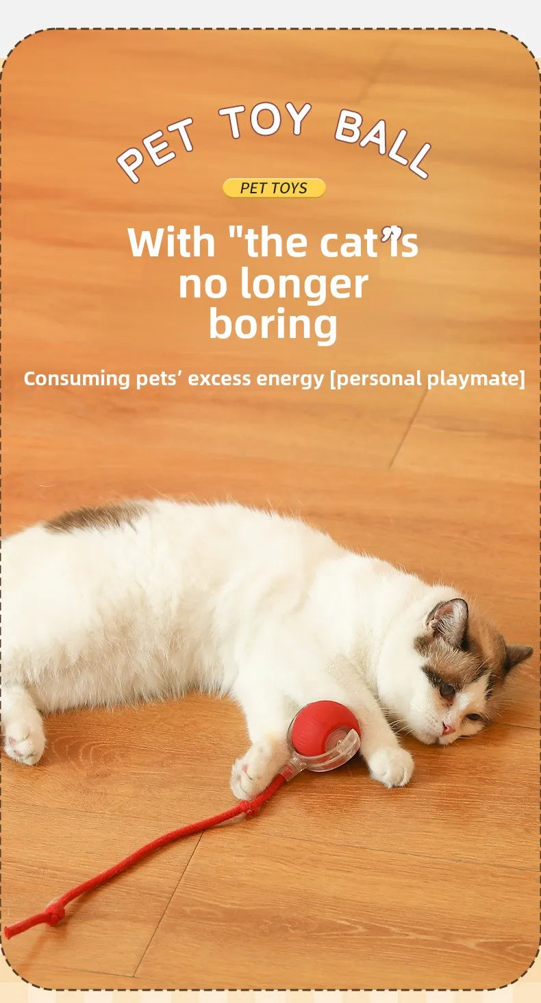 Cat playing with a red toy on a wooden floor, with promotional text about pet toys.