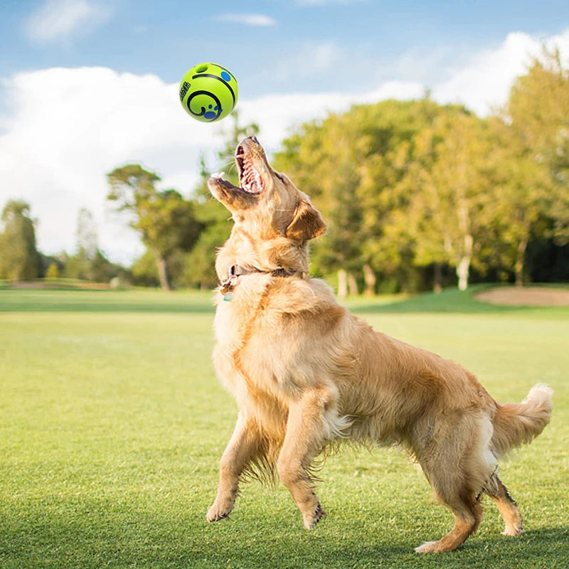 Dog playing with a green ball in a park