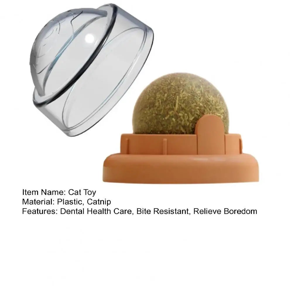 Cat toy with transparent dome and textured ball on a white background