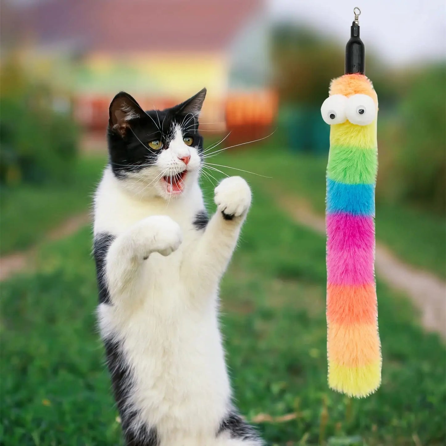 Cat playing with a colorful striped toy outdoors