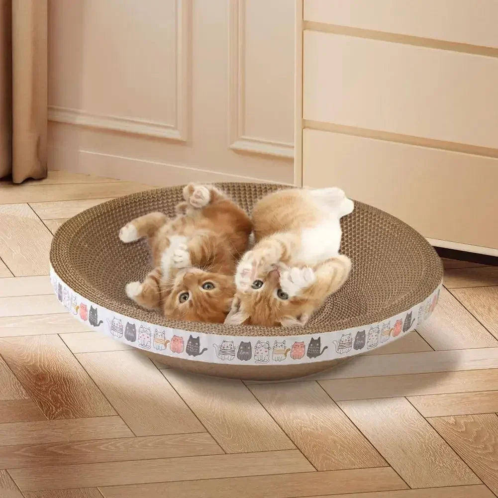 Three kittens playing on a round cat bed with a patterned edge in a room.