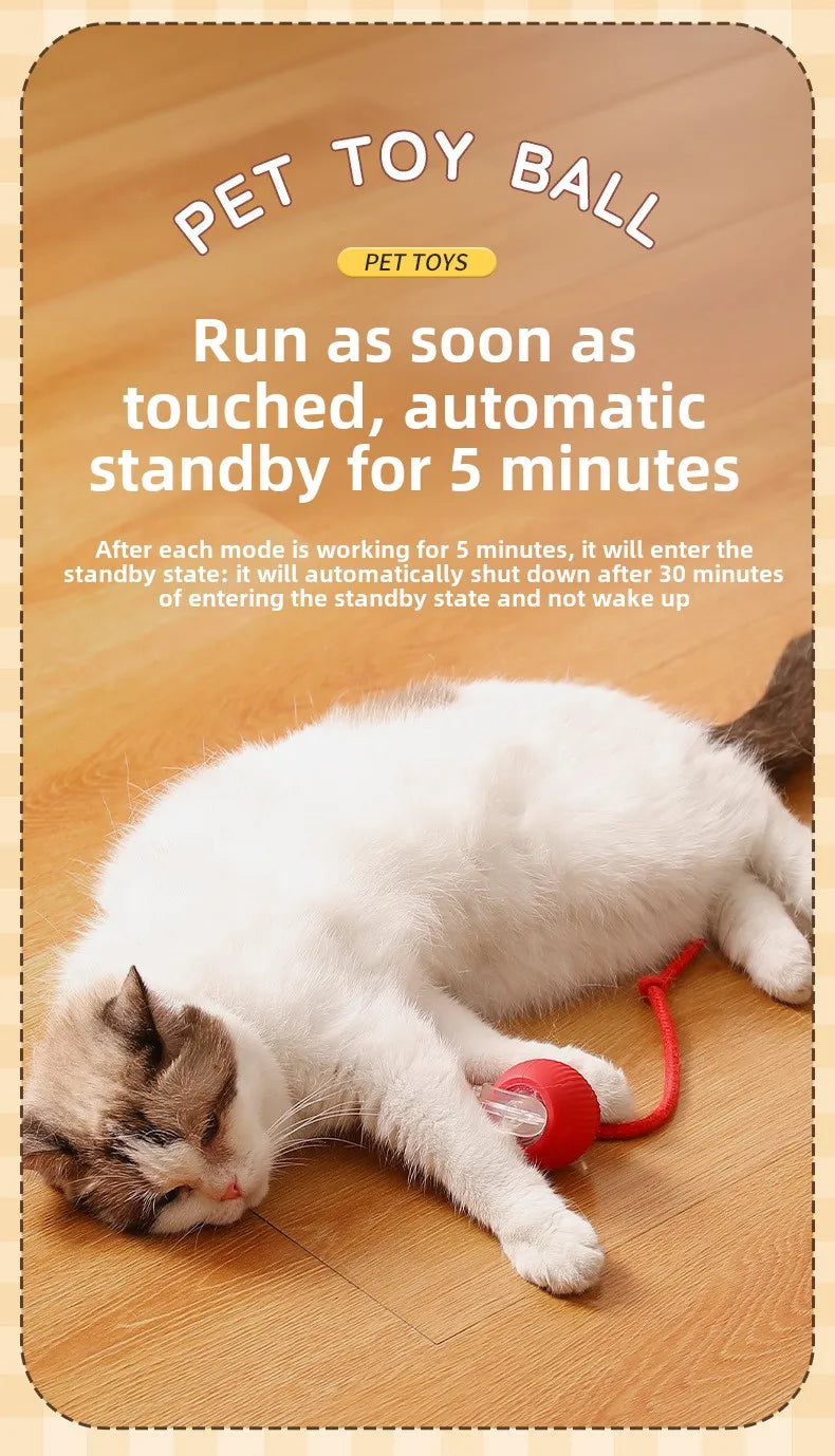 Cat playing with a red pet toy ball on a wooden floor