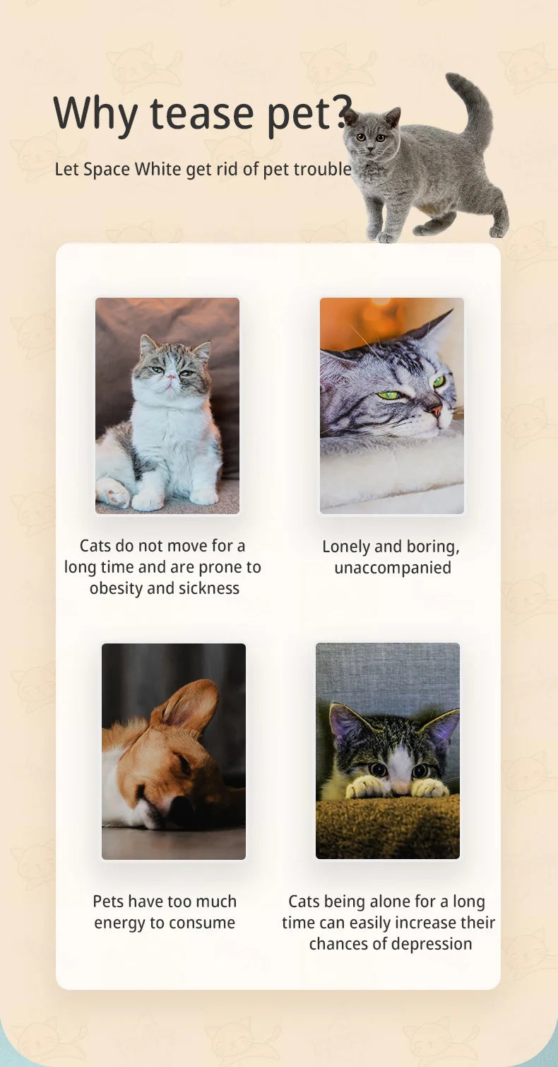 Cat advertisement with text explaining why cats should be teased and featuring images of cats in various moods.
