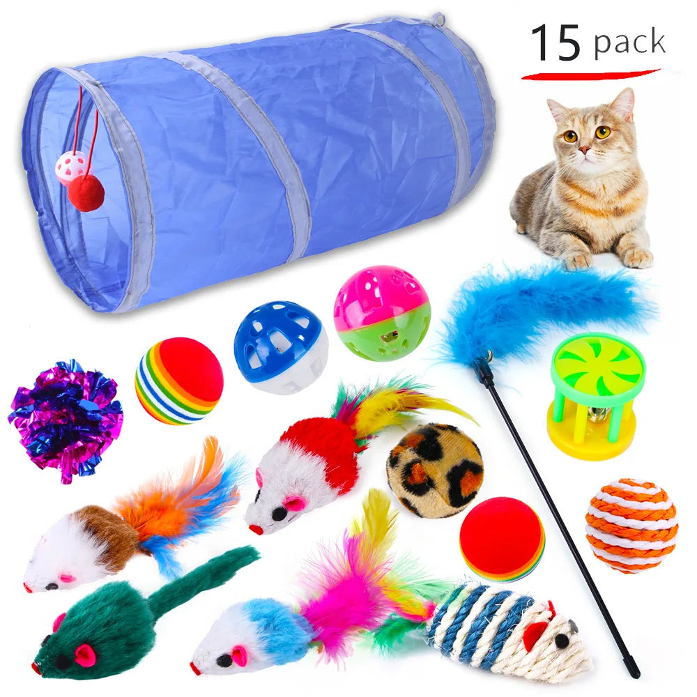 Assorted cat toys including a blue tunnel, balls, and feathers with a cat sitting next to them on a white background.
