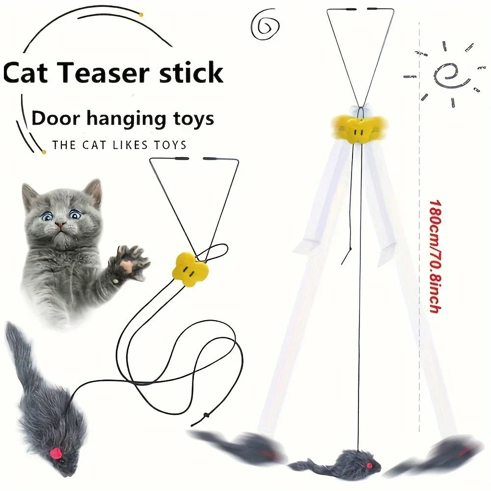 Cat teaser stick with a cat and toy illustration on a white background