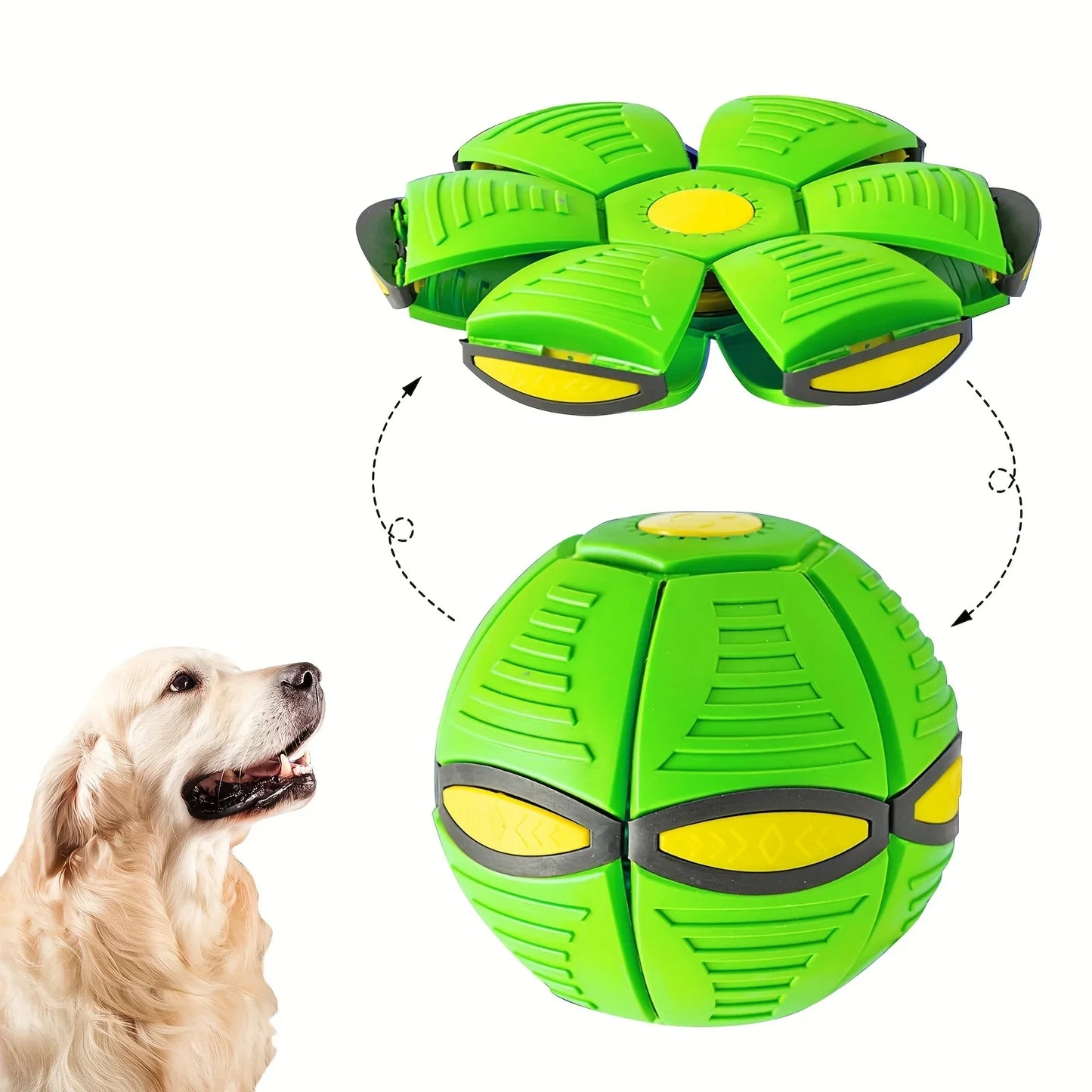 Green dog toy transforming from a ball to a frisbee with a dog looking at it.