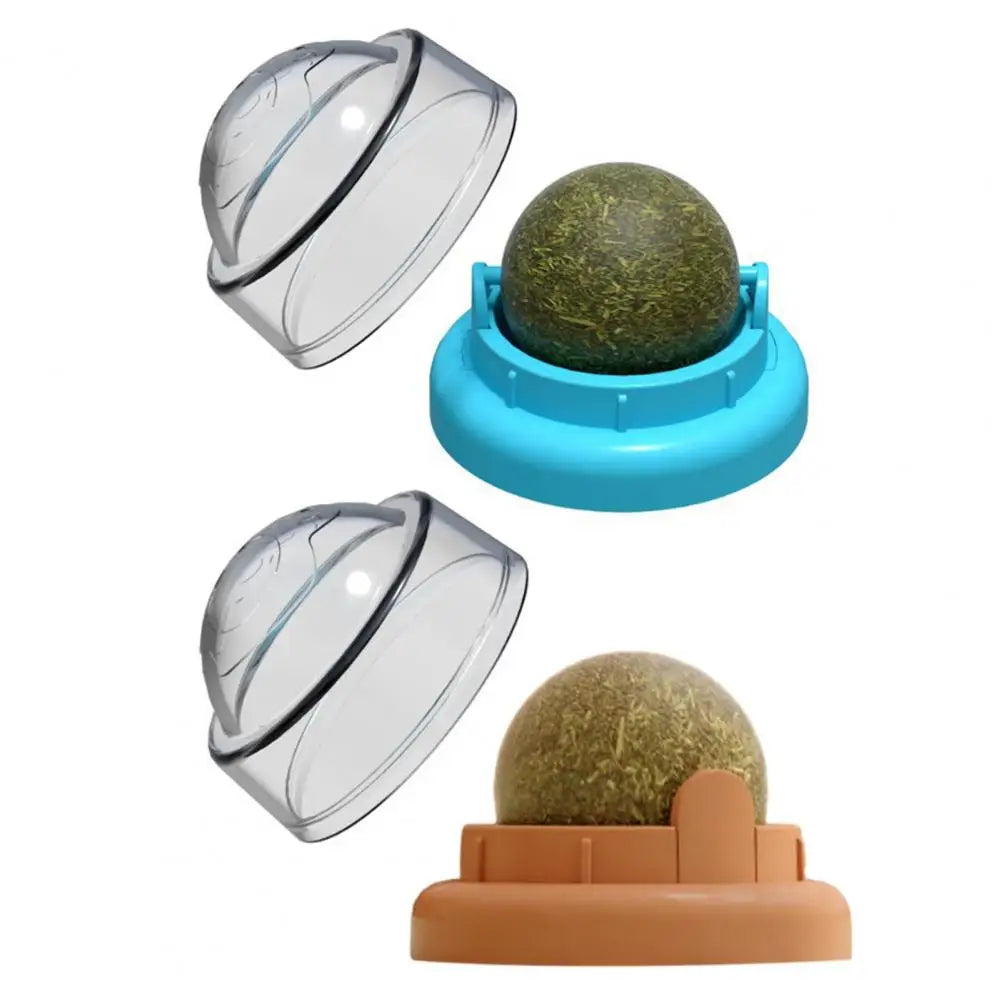 Two pet toys with a transparent dome cover on a white background