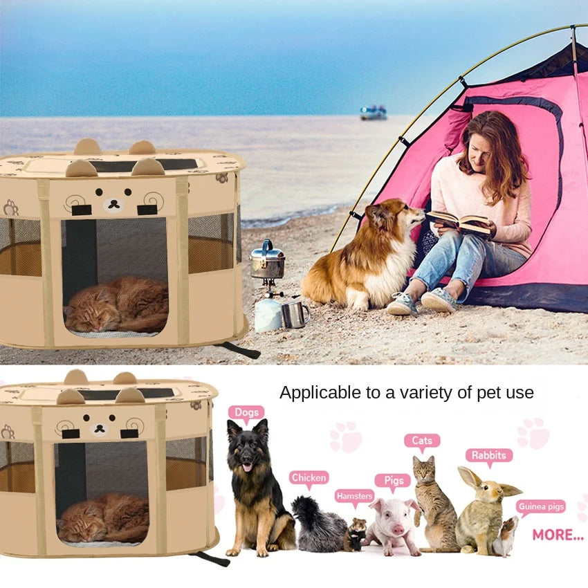 Portable pet crate on a beach with a woman and dog, and various pets shown below.