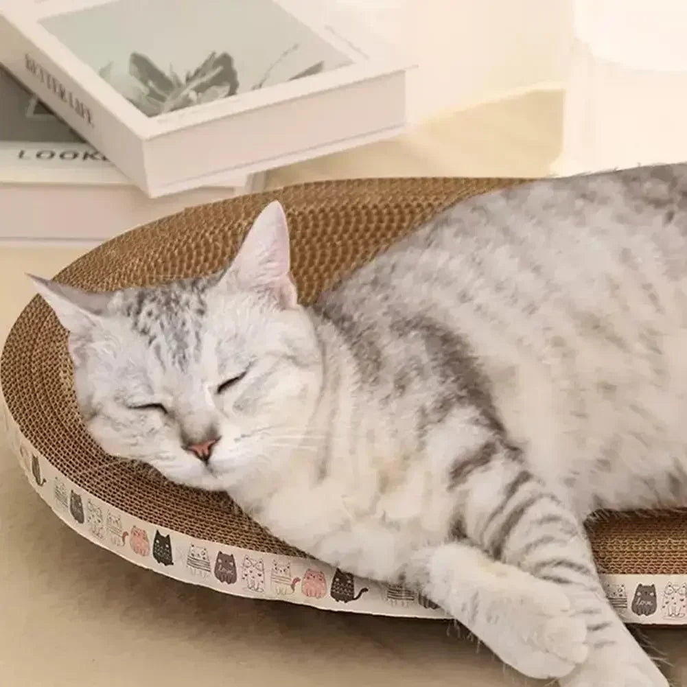 Cat sleeping on a round cushion with a patterned edge