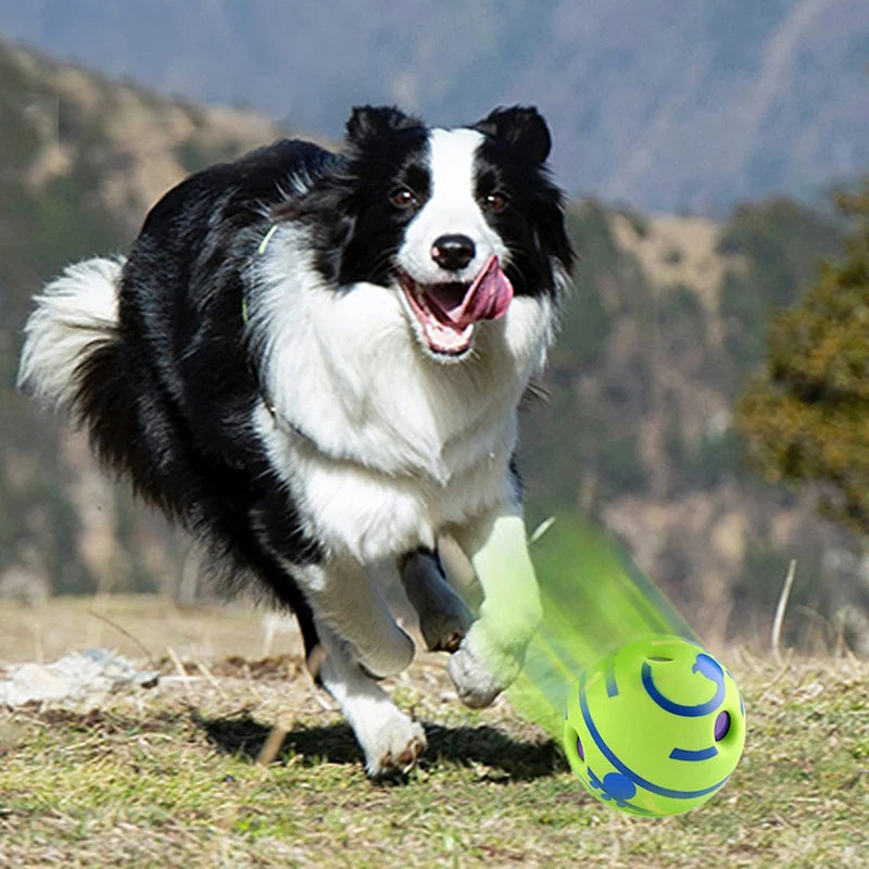 Dog running with a green and blue ball in a natural setting