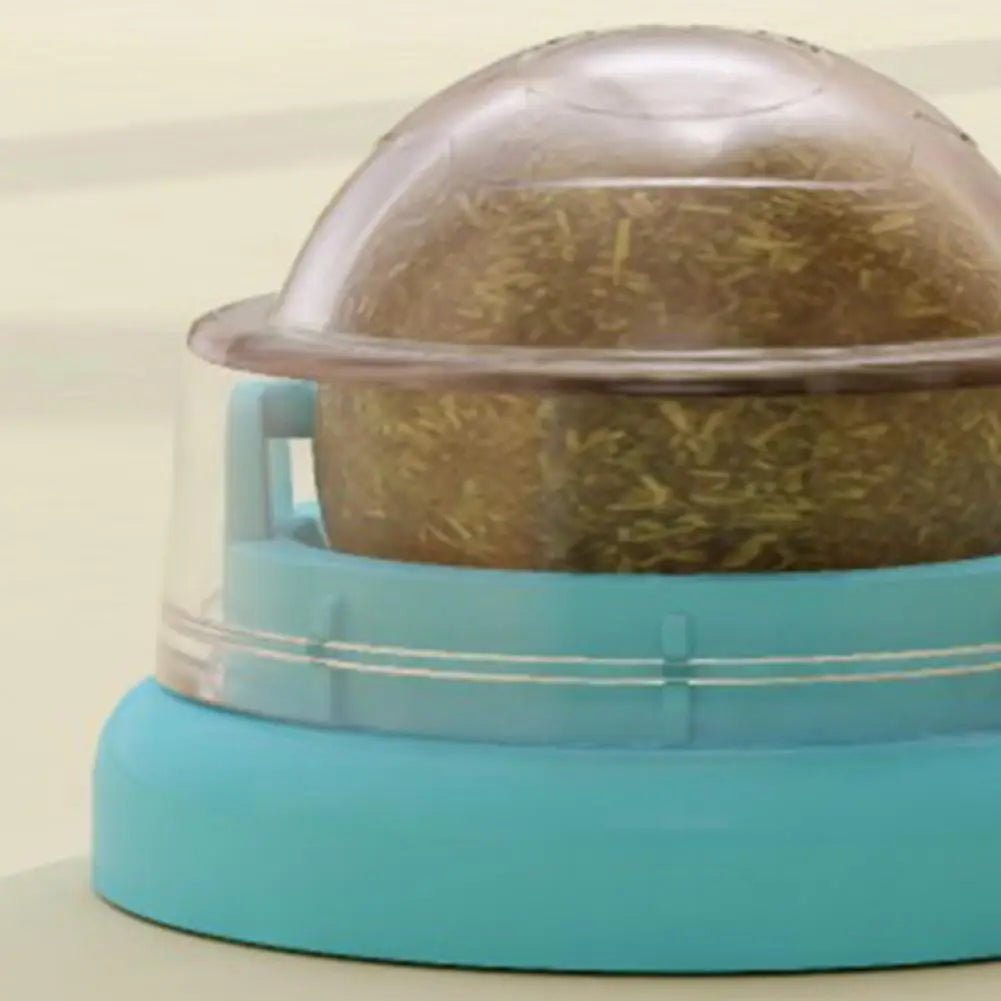 Teal kitchen appliance with a transparent dome on a beige background