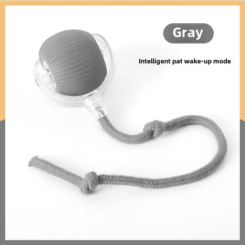 Gray pet toy with a rope on a white background