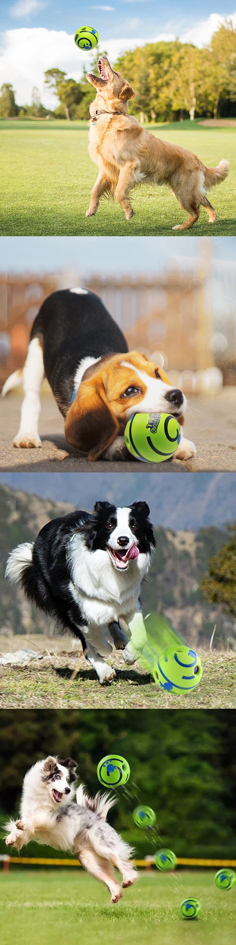 Collage of dogs playing with green balls in a park setting.