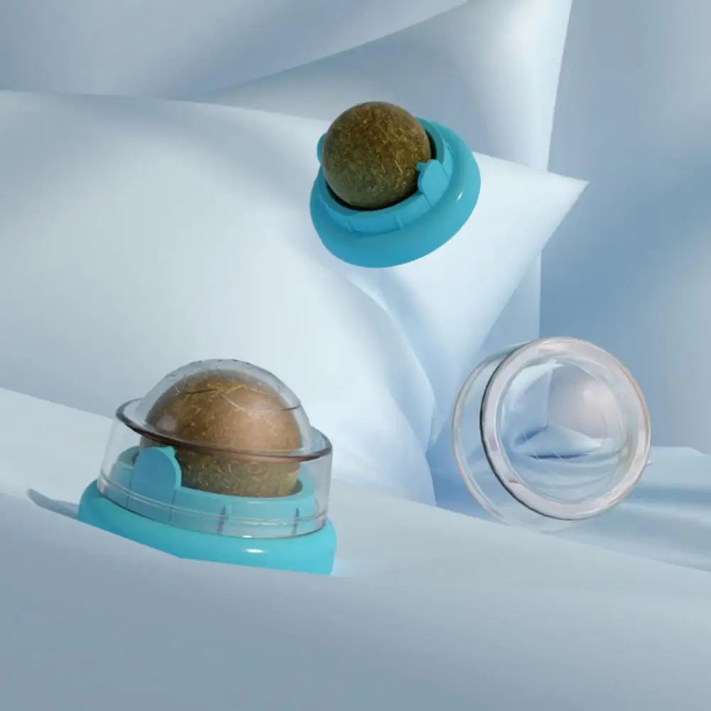 Two transparent containers with green balls on a light blue background