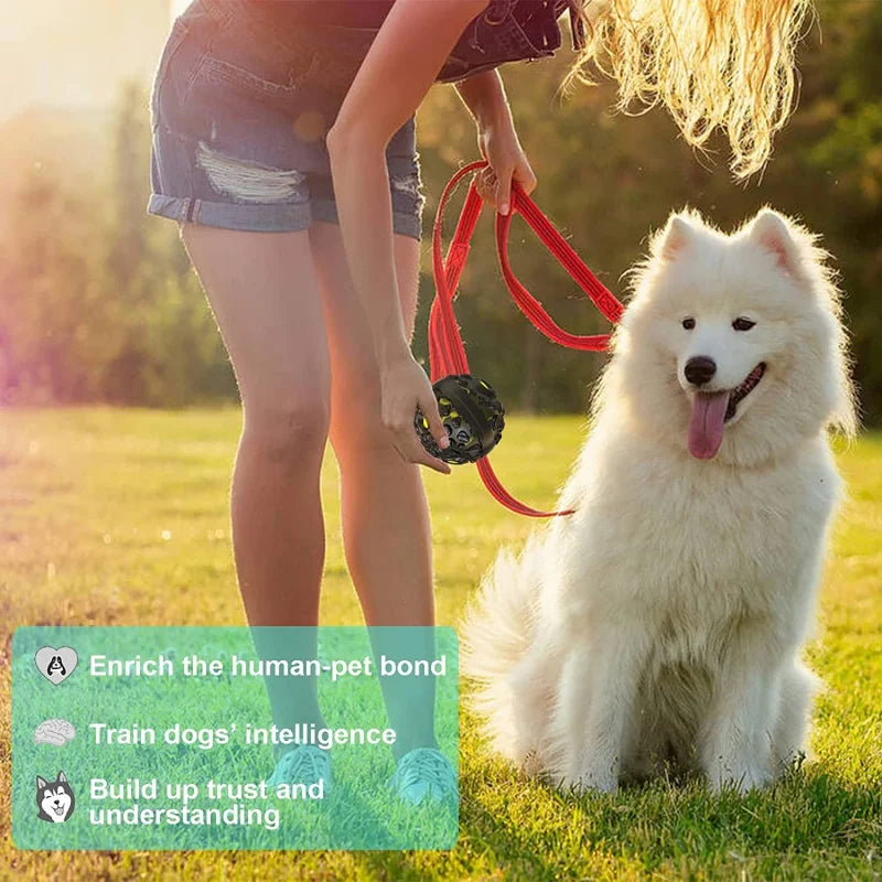 White dog on a red leash held by a person in a grassy field with text about enriching the human-pet bond.