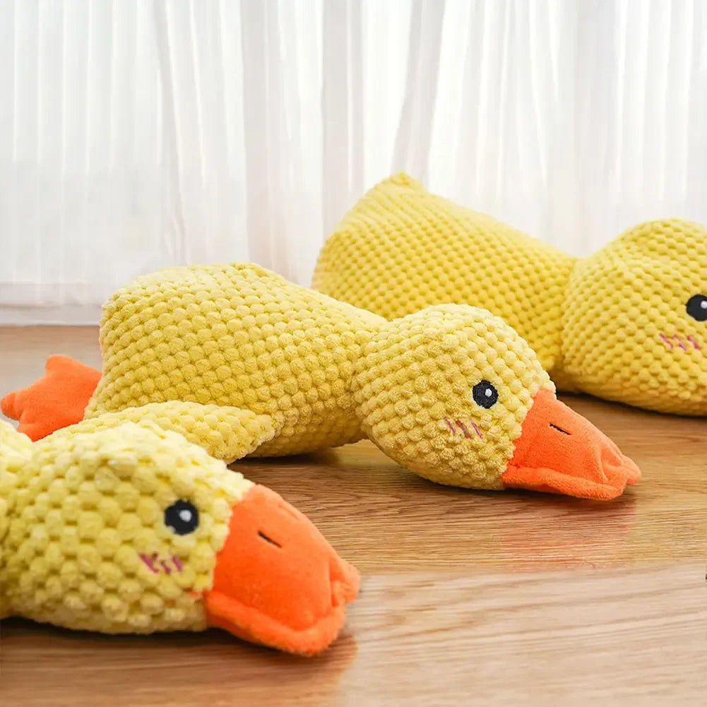 Yellow duck plush toys on a wooden surface with a white curtain background