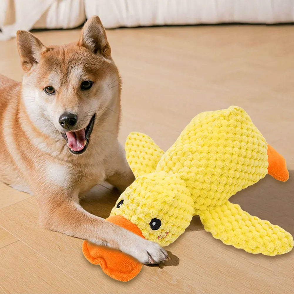 Dog playing with a yellow duck toy on a wooden floor.