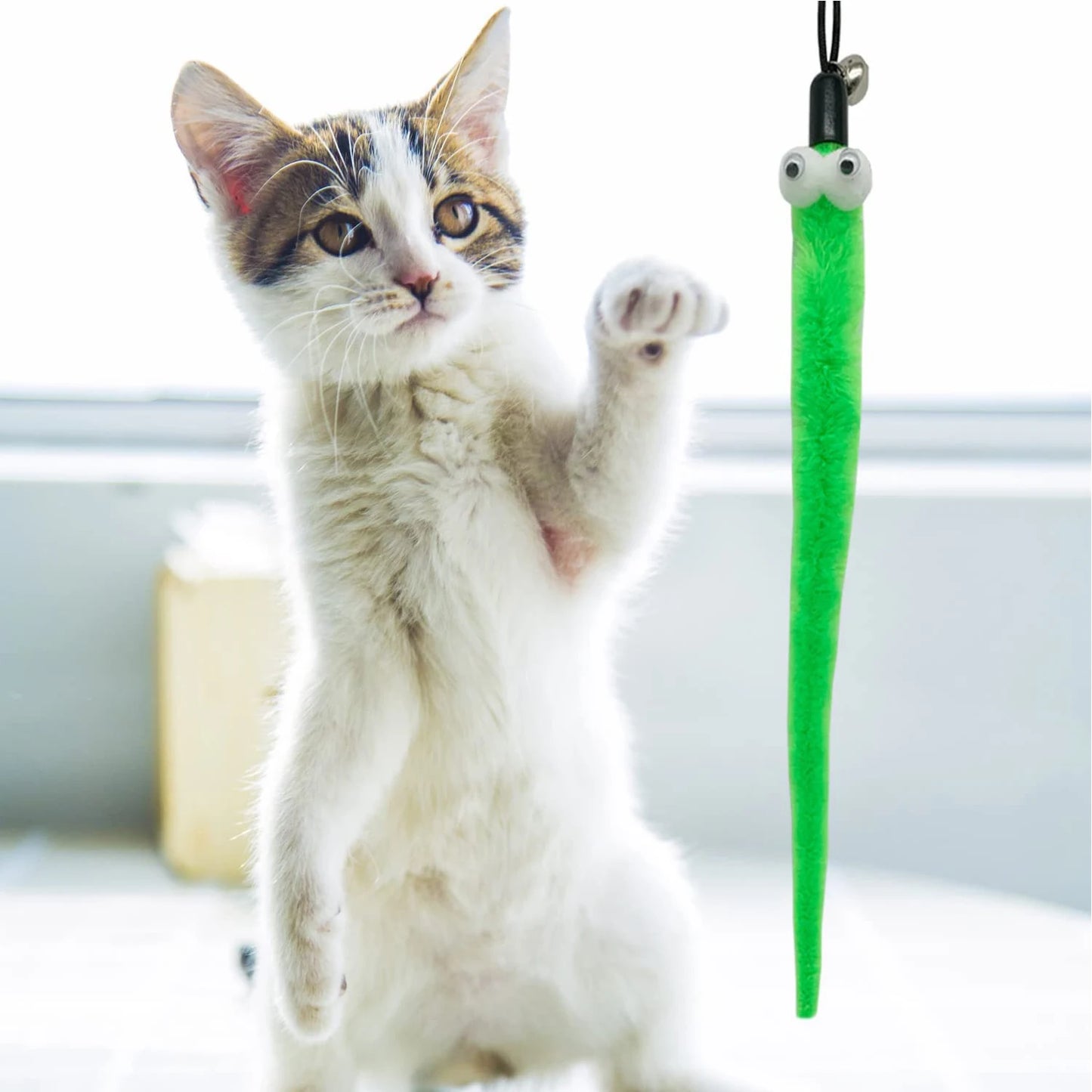 Cat playing with a green toy resembling a snake