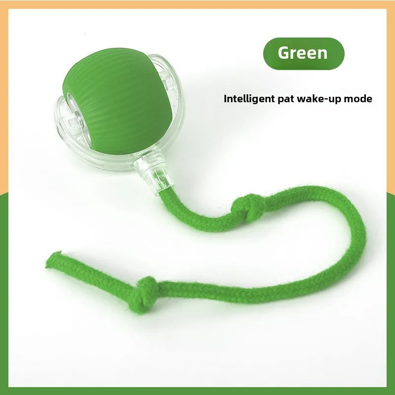Green pet toy with a rope on a white background