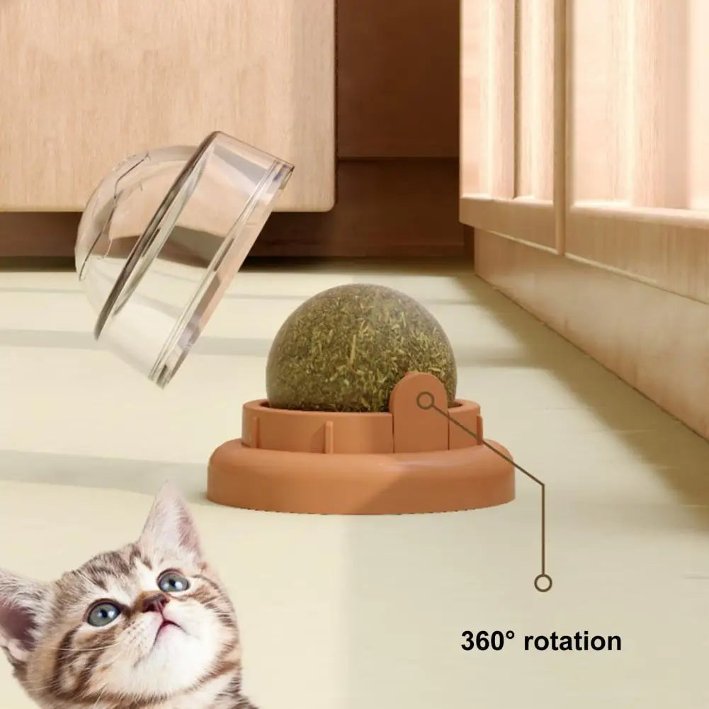Cat toy with a ball on a stand and a cat looking at it, with '360° rotation' text.