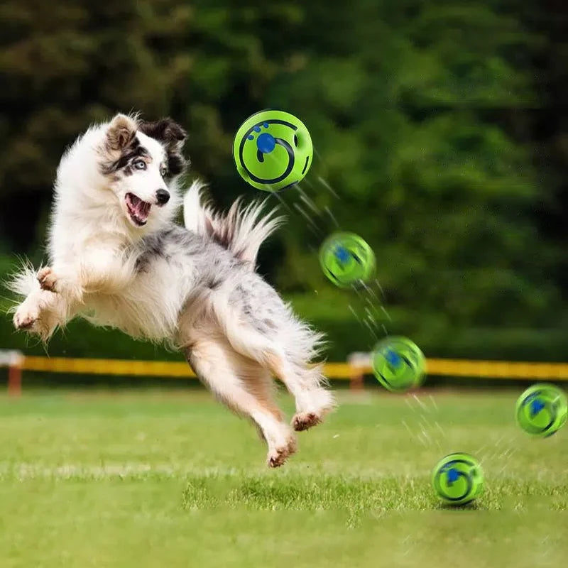 Dog leaping to catch a green ball with a blue logo on grass