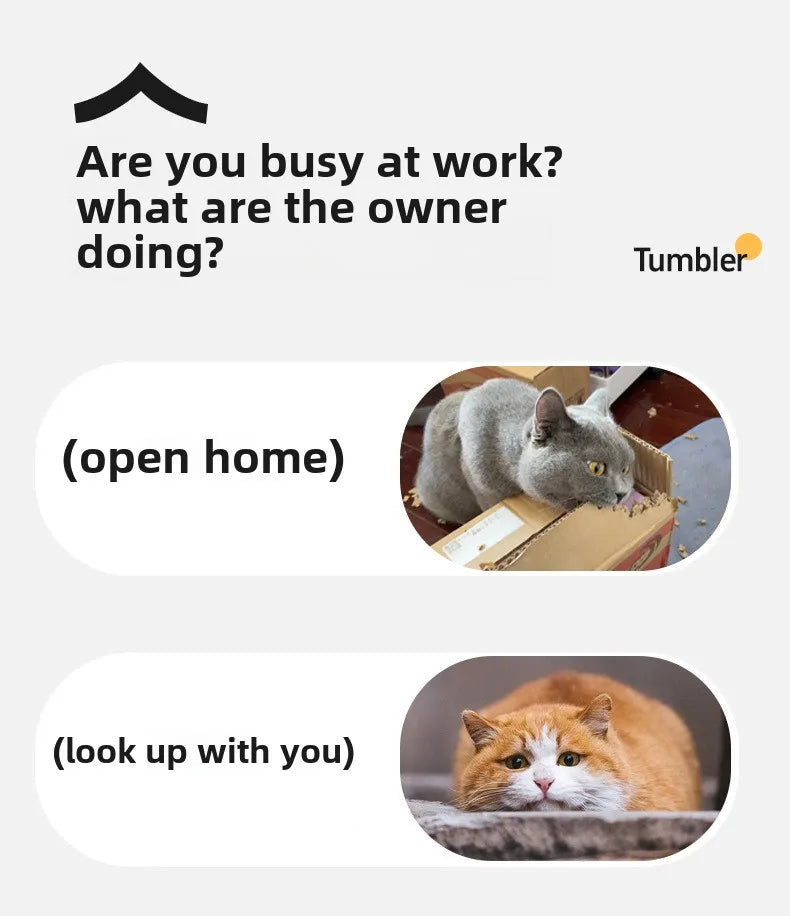 Cat looking up with text 'Are you busy at work? What are the owner doing?' and 'open home' on a white background.
