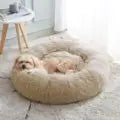 Dog lying on a fluffy beige pet bed in a cozy room.