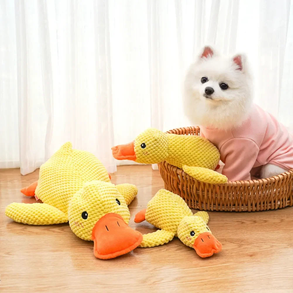 3 Duck plush toys with a small dog in a basket