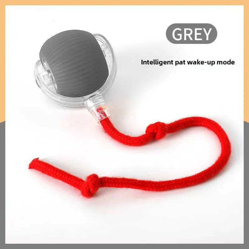 Gray device with a red cord on a white background, labeled 'GREY'.