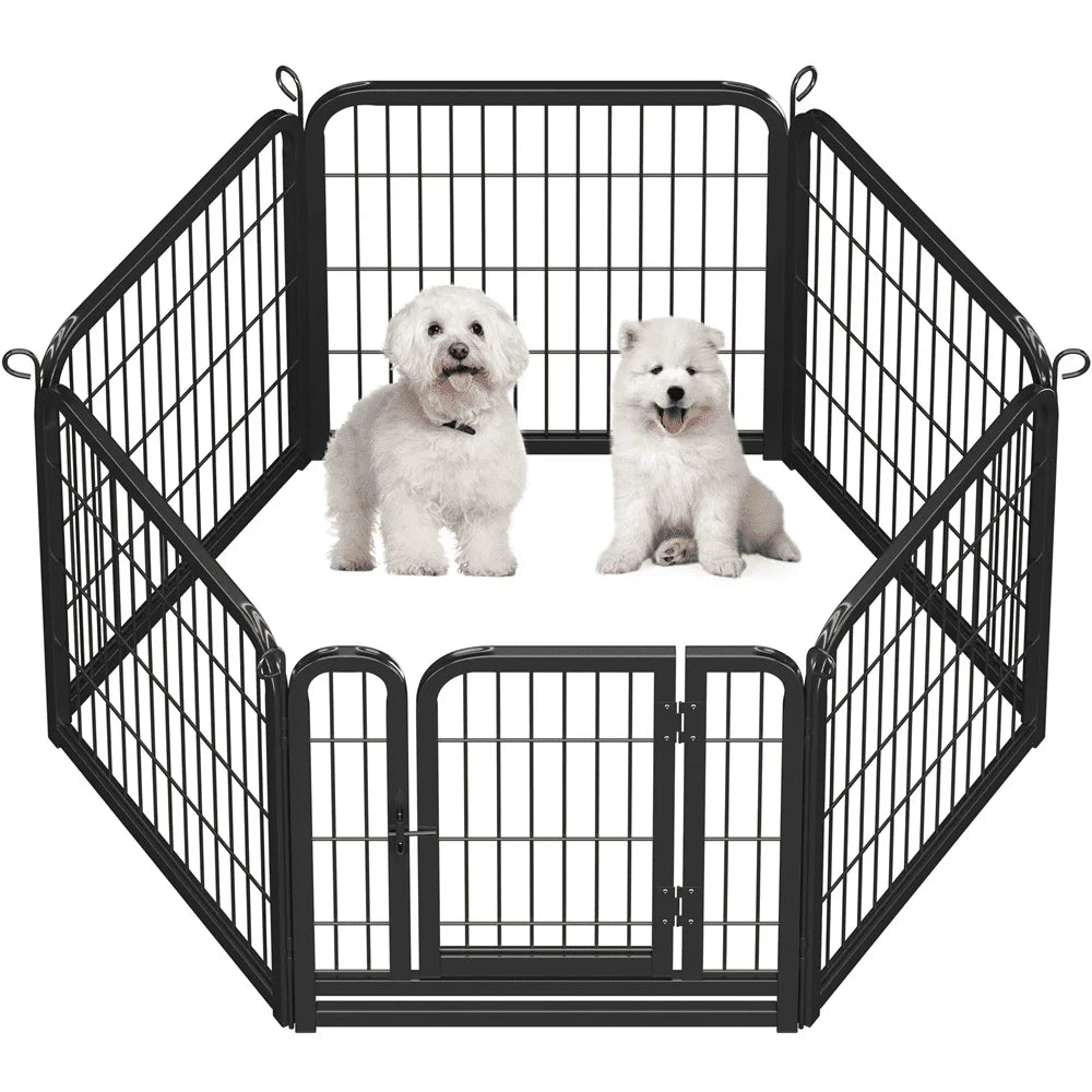 Two white dogs inside a black metal pet playpen on a white background